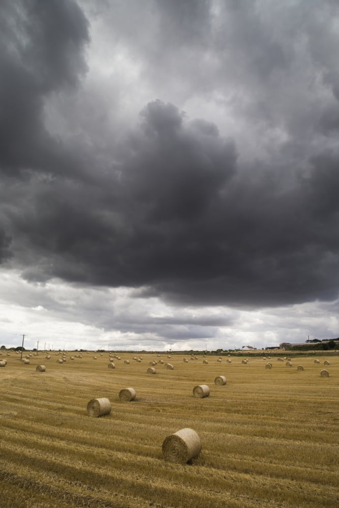 Posterazzi Dark storm clouds over a field with hay bales South Shields England Canvas Art - John Short Design Pics (24 x 38)