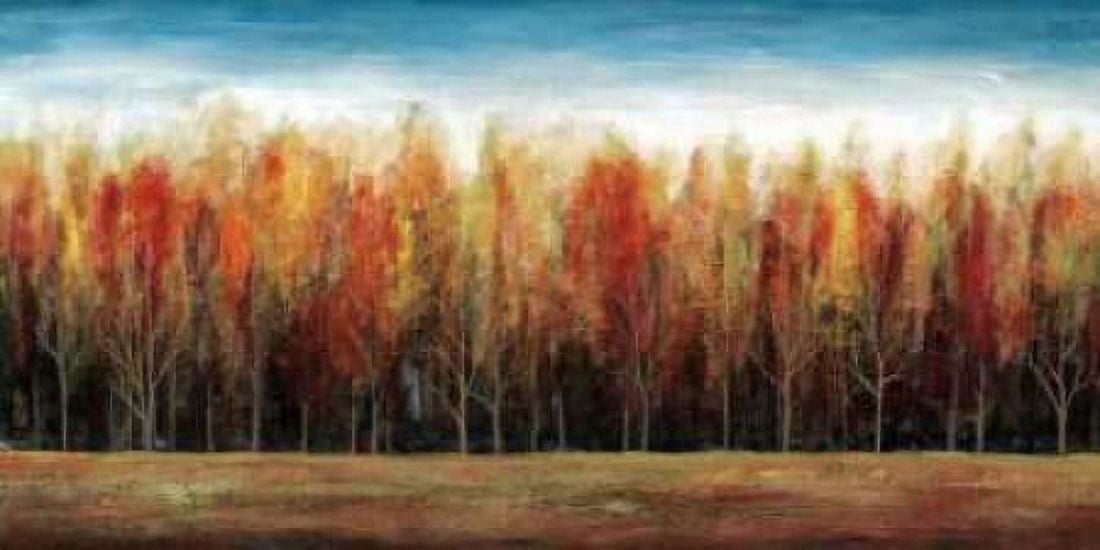 Posterazzi Deep Forest Canvas Art - Stephane Fontaine (24 x 48)