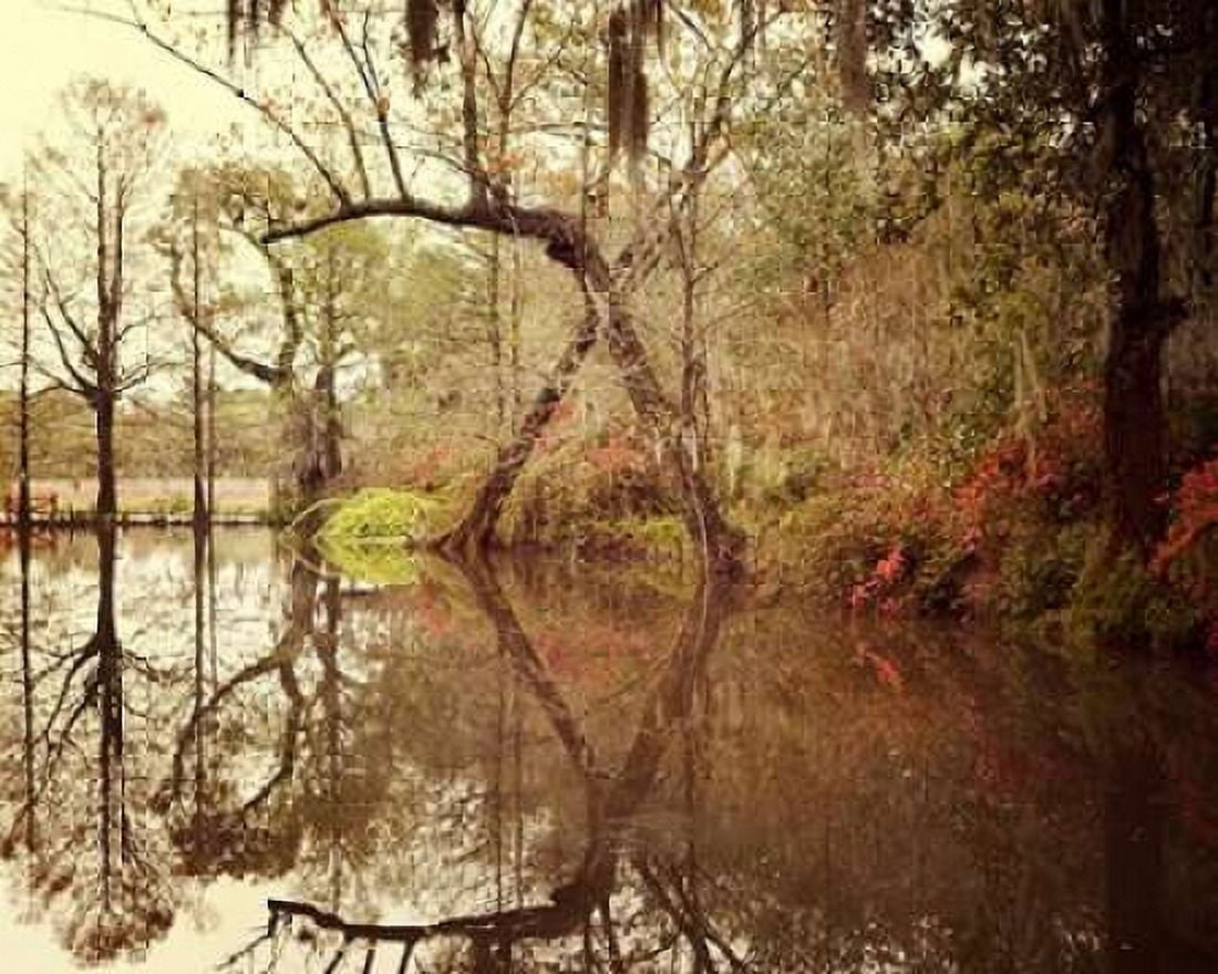 Posterazzi Deep South I Canvas Art - Irene Suchocki (24 x 30)