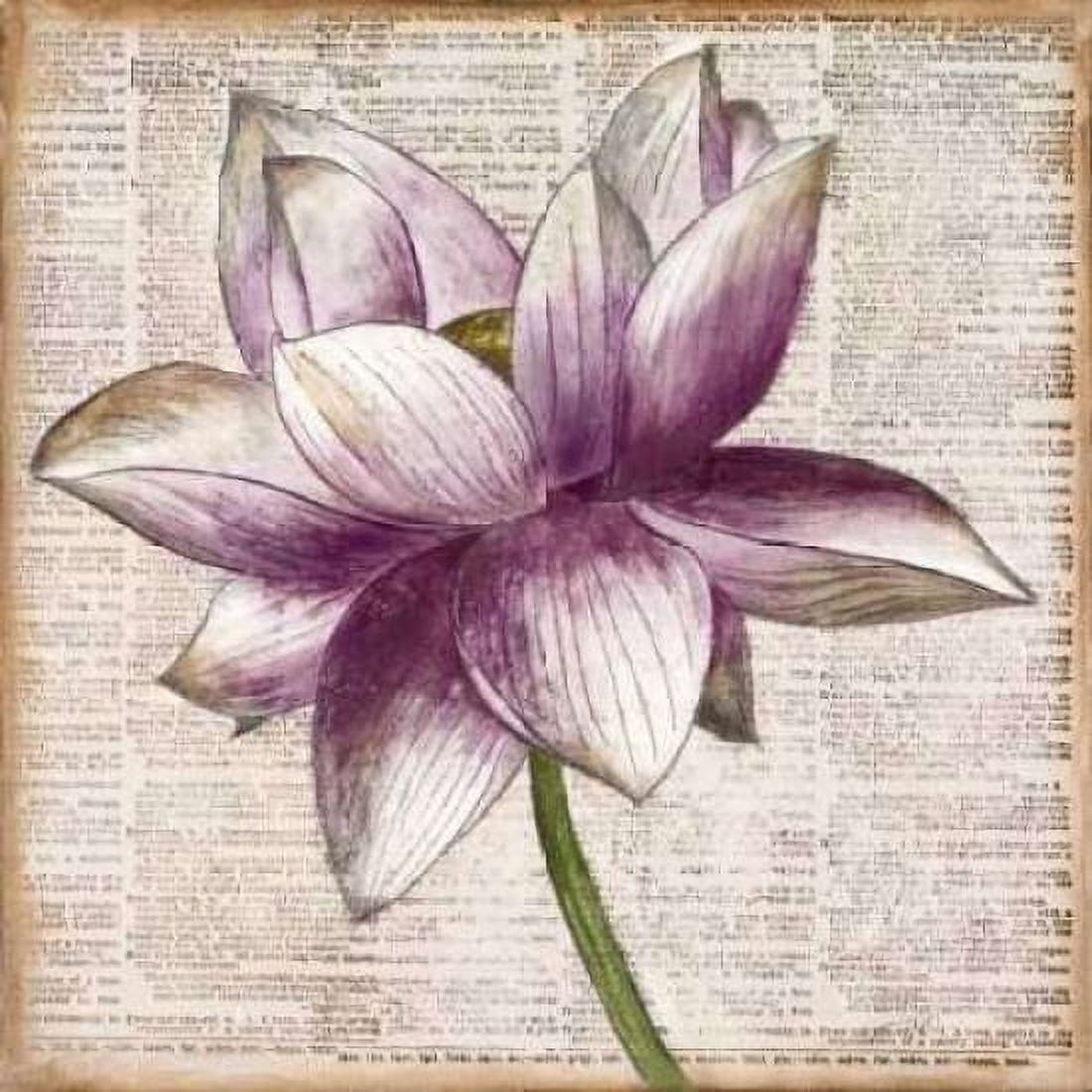 Posterazzi Defined Lotus I Canvas Art - Patricia Pinto (24 x 24)