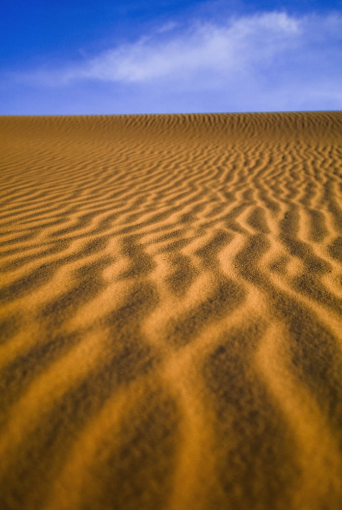 Posterazzi Desert Canvas Art - Guy Marks Design Pics (24 x 36)