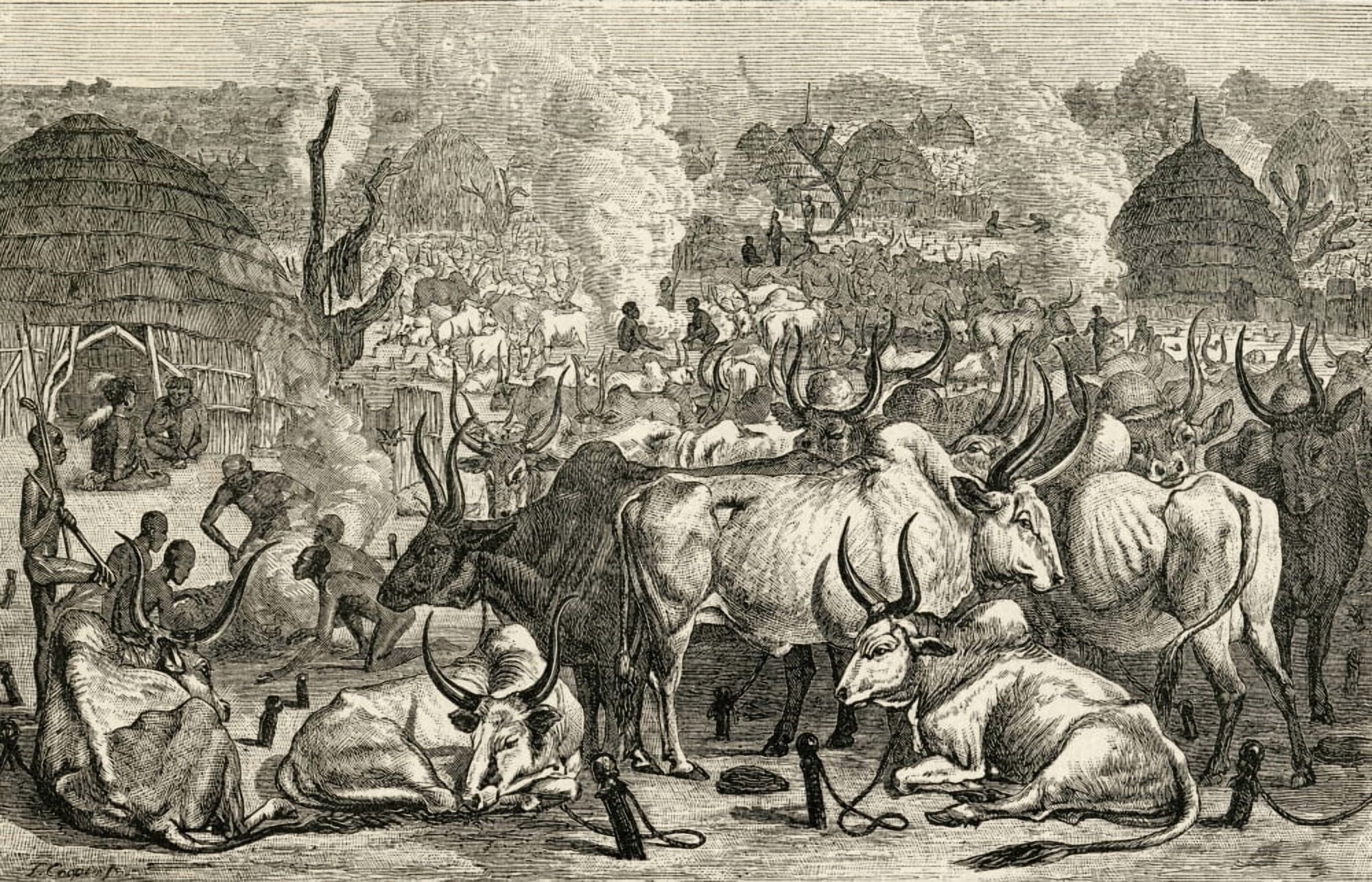 Posterazzi A Dinka Cattle Park Southern Sudan Africa In The 19Th Century From The Worlds Inhabitants By GT Bettany Published 1888 Canvas Art - Ken Welsh Design Pics (36 x 22)