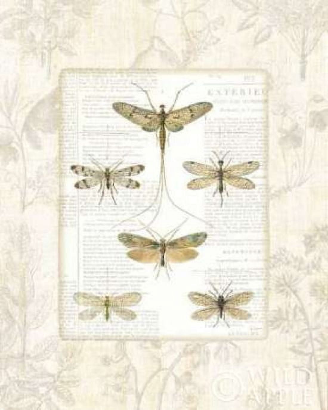 Posterazzi Dragonfly Botanical Canvas Art - Sue Schlabach (24 x 30)