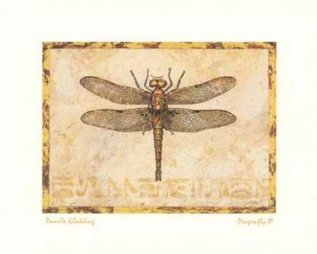 Posterazzi Dragonfly III Canvas Art - Pamela Gladding (24 x 30)