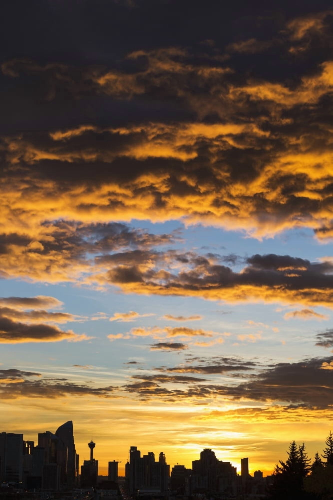 Posterazzi Dramatic colorful clouds at sunrise with cityscape and tree silhouette Calgary Alberta Canada Canvas Art - Michael Interisano Design Pics (24 x 38)