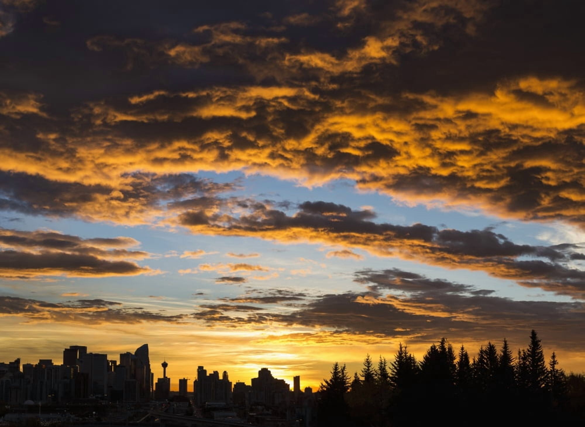 Posterazzi Dramatic colorful clouds at sunrise with cityscape and tree silhouette Calgary Alberta Canada Canvas Art - Michael Interisano Design Pics (36 x 26)