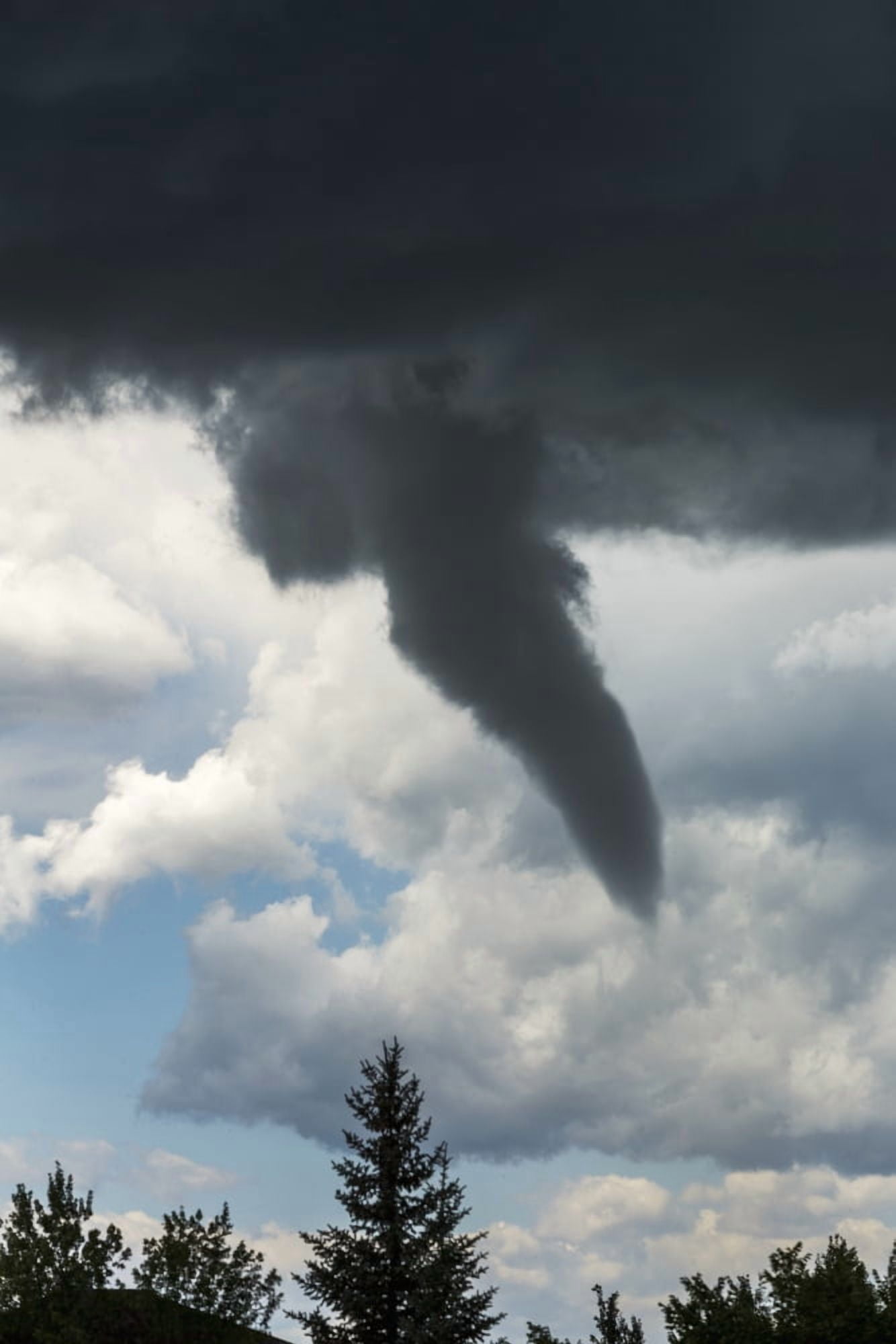 Posterazzi Dramatic funnel cloud created in dark storm clouds with silhouetted evergreen trees Calgary Alberta Canada Canvas Art - Michael Interisano Design Pics (24 x 38)