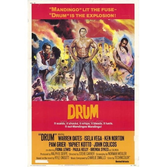 Posterazzi  Drum Movie Poster - 27 x 40 in.