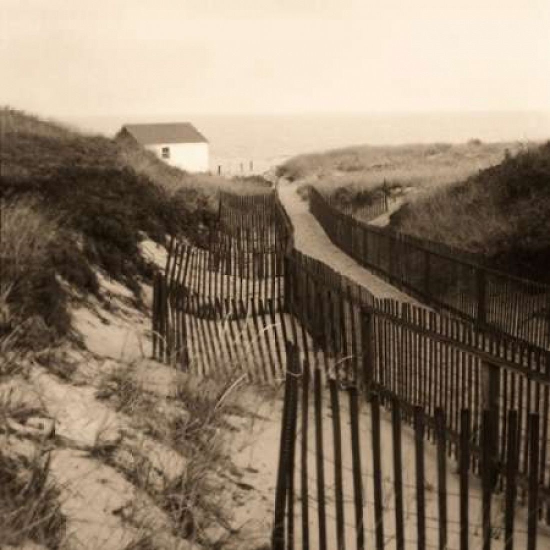 Posterazzi Dune Fence Canvas Art - Christine Triebert (24 x 24)