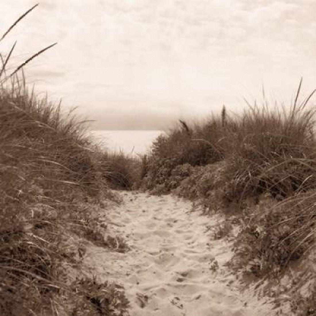 Posterazzi Dune Path Canvas Art - Christine Triebert (24 x 24)