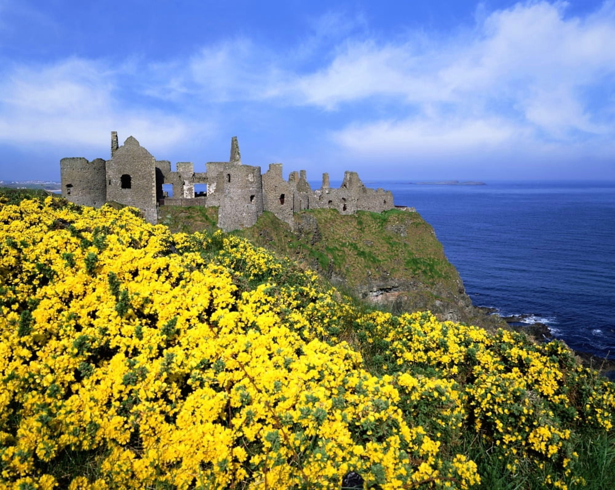 Posterazzi Dunluce Castle Co Antrim Ireland Canvas Art - The Irish Image Collection Design Pics (32 x 24)