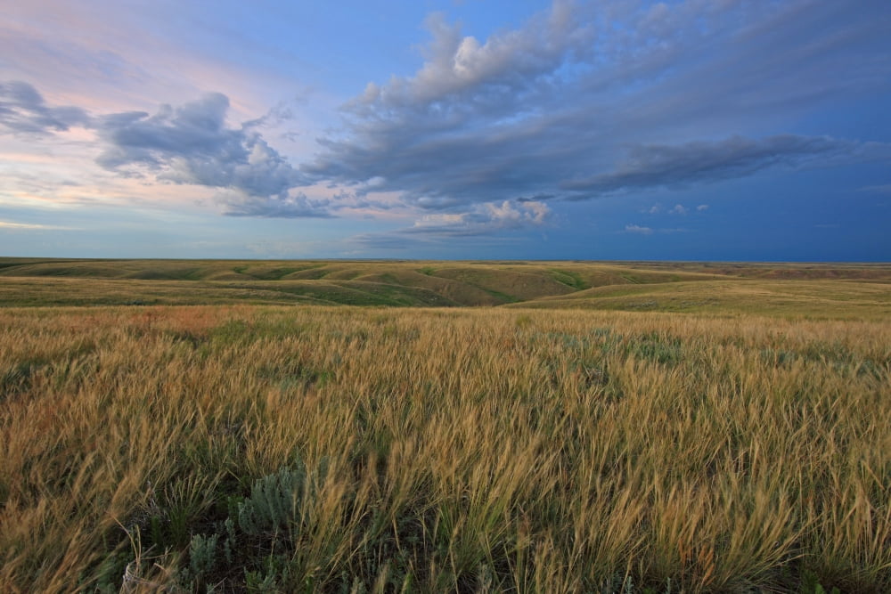 Posterazzi Dusk At Grasslands National Park Saskatchewan Canvas Art - Robert Postma Design Pics (34 x 22)