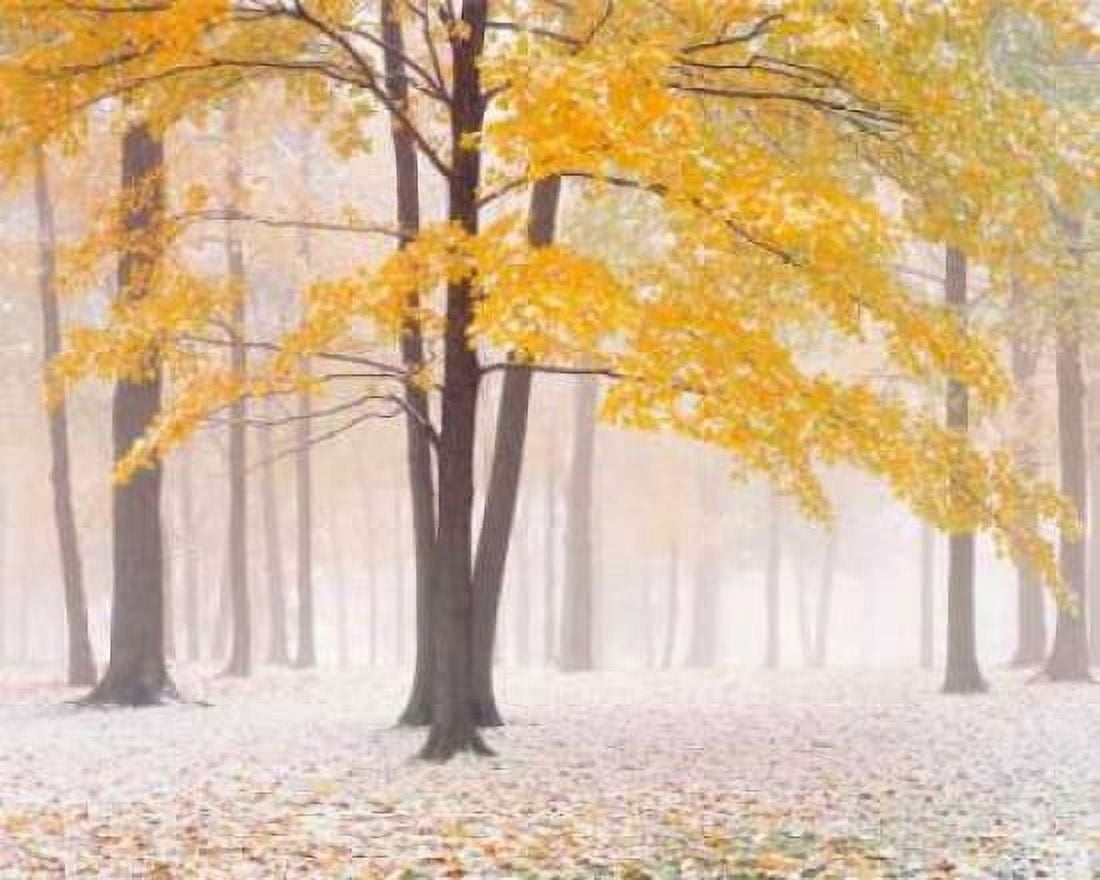 Posterazzi Early Autumn Snow Canvas Art - Jim Becia (20 x 24)