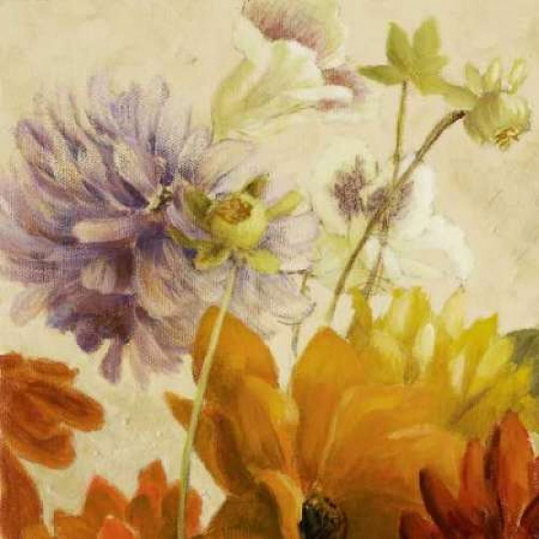 Posterazzi Early Bloomers II Canvas Art - Lanie Loreth (24 x 24)