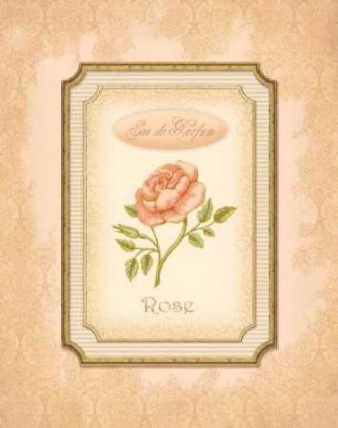 Posterazzi Eau de Parfum I Canvas Art - Delphine Corbin (24 x 30)