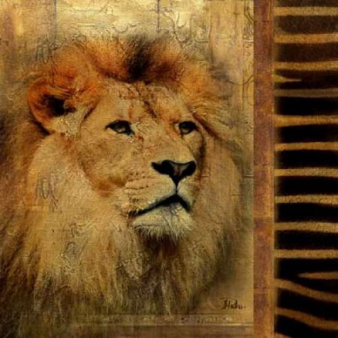 Posterazzi Elegant Safari IV  - Lion Canvas Art - Patricia Pinto (24 x 24)