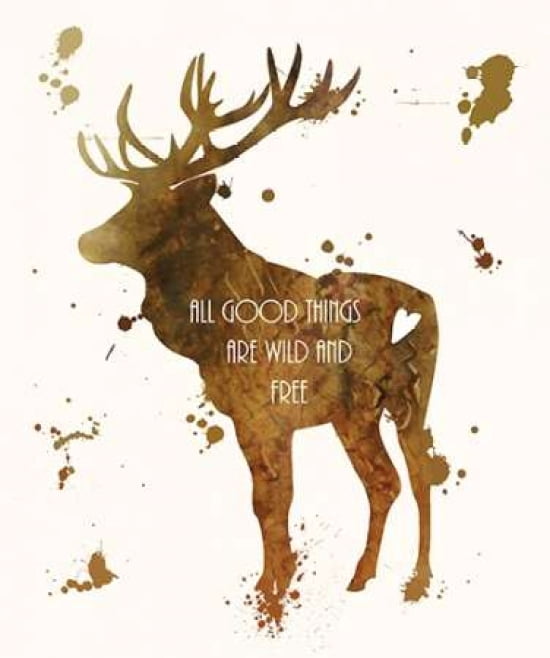 Posterazzi Elk Canvas Art - Anna Quach (20 x 24)
