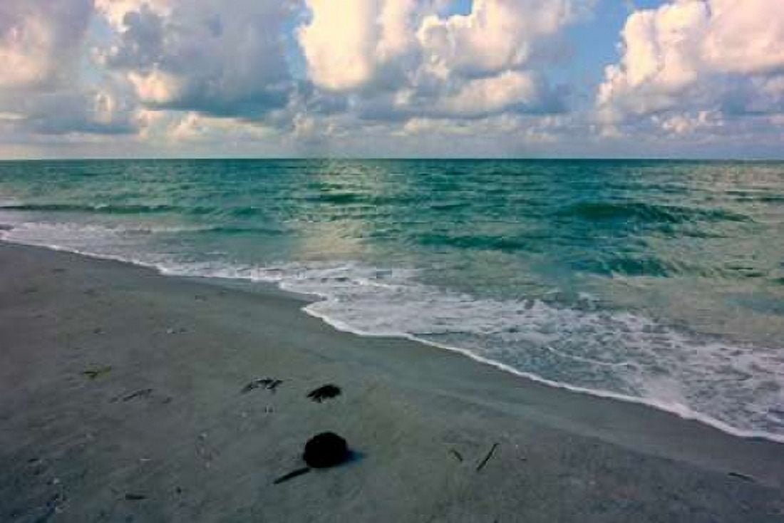 Posterazzi Emerald Sea Canvas Art - Gail Peck (24 x 36)