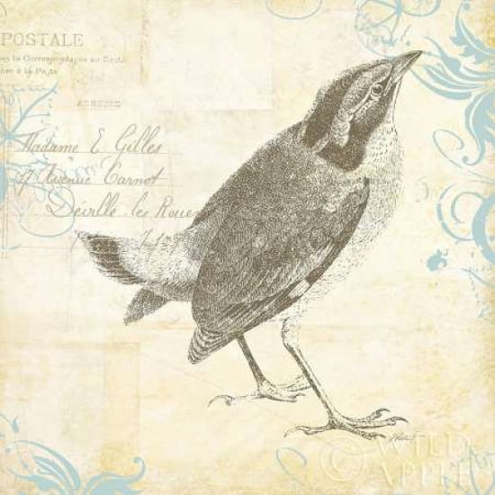Posterazzi Engraved Birds I Canvas Art - Katie Pertiet (24 x 24)