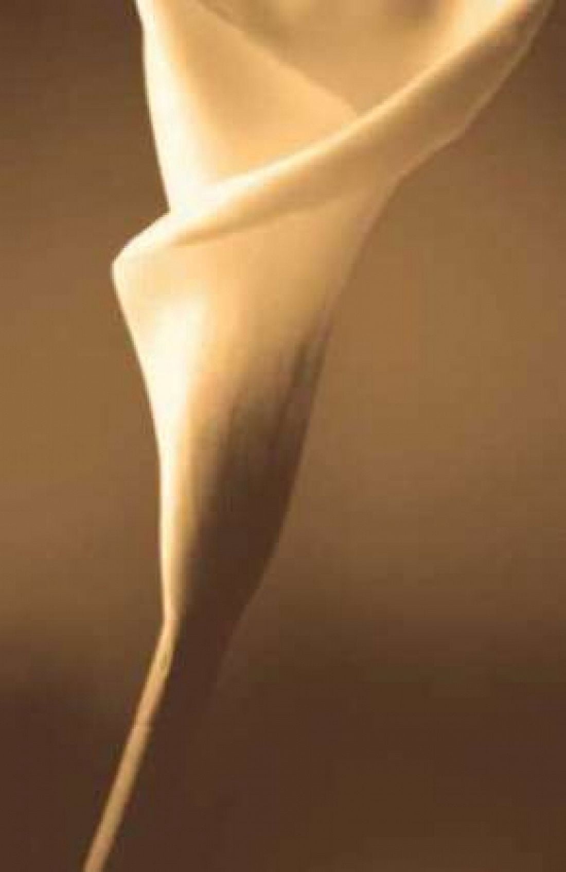Posterazzi Enlightenment Canvas Art - Cinzia Ryan (24 x 36)