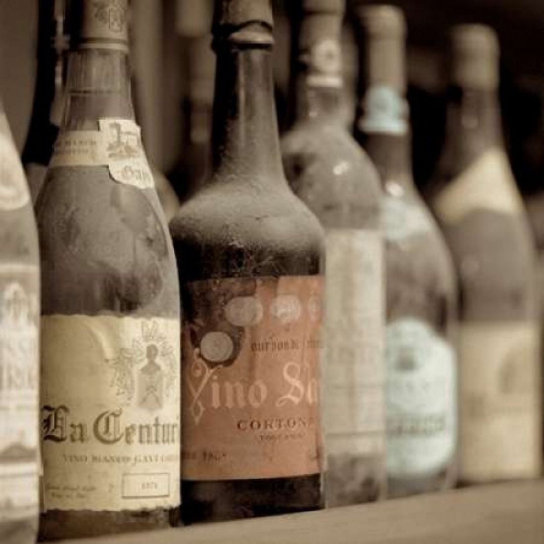 Posterazzi Enoteca Cortona - 1 Canvas Art - Alan Blaustein (24 x 24)