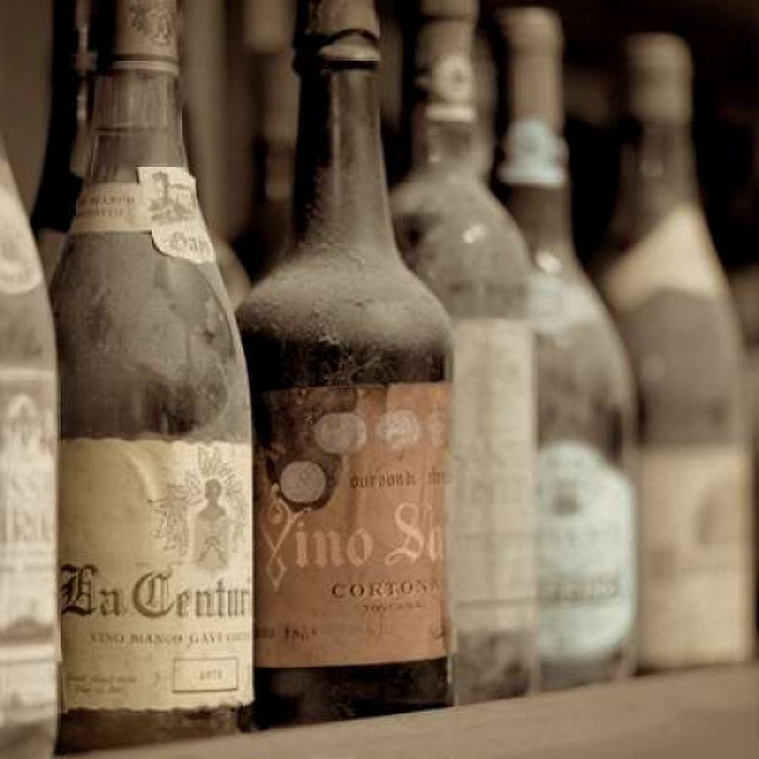 Posterazzi Enoteca a Cortona No 1 Canvas Art - Alan Blaustein (24 x 24)