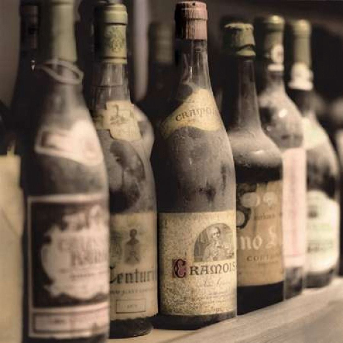 Posterazzi Enoteca a Cortona No 2 Canvas Art - Alan Blaustein (24 x 24)