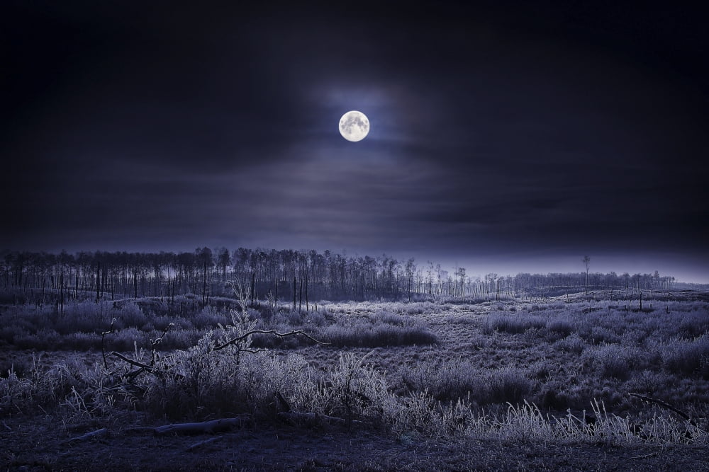 Posterazzi Evening Winter Scene Canvas Art - Richard Wear Design Pics (34 x 22)