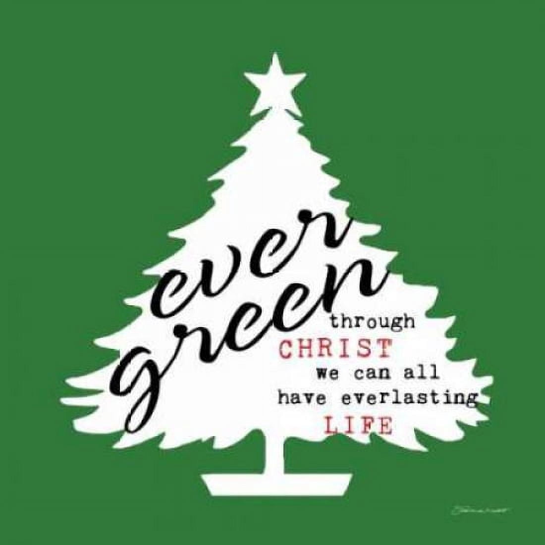 Posterazzi Everlasting - Green Canvas Art - Stephanie Marrott (24 x 24)