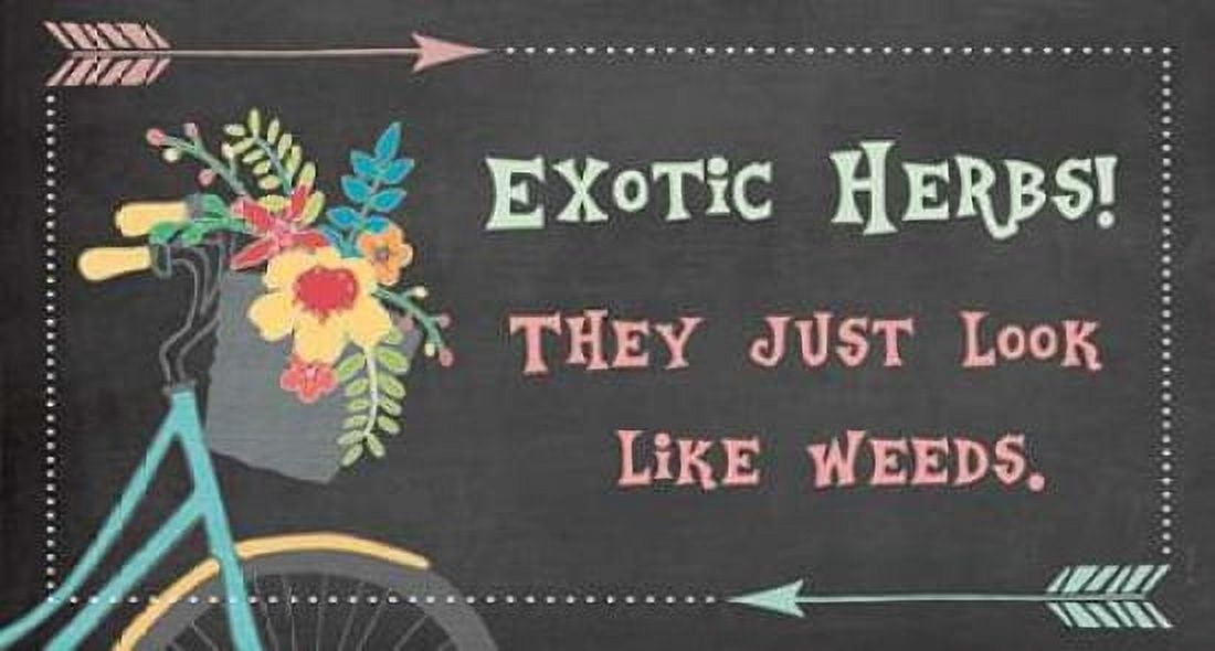 Posterazzi Exotic Herbs - Bike Canvas Art - Jo Moulton (10 x 20)