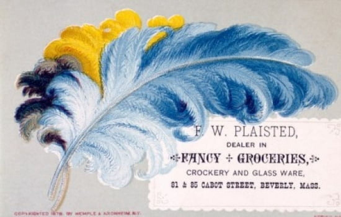 Posterazzi FW Plaisted Dealer in Fancy and Groceries Crockery and Glassware Nostalgia Cards 1878 Canvas Art - (24 x 36)