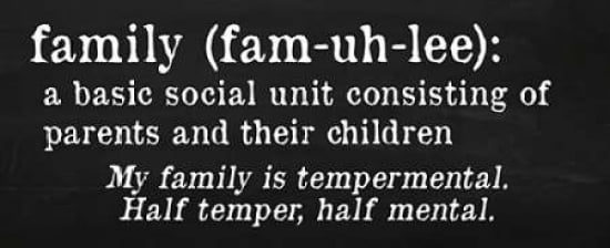 Posterazzi Family Definition Canvas Art - Anna Quach (24 x 48)