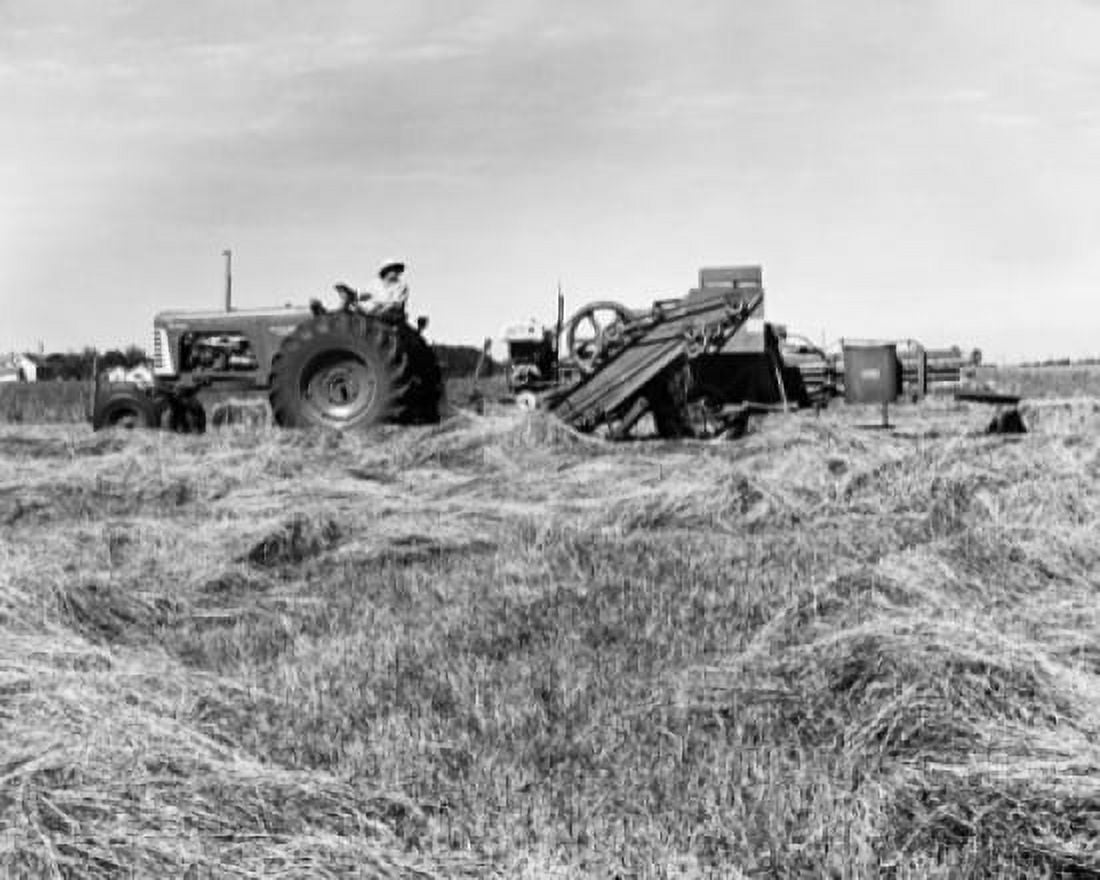 Posterazzi Farmer harvesting hay in a field Canvas Art - (24 x 36)