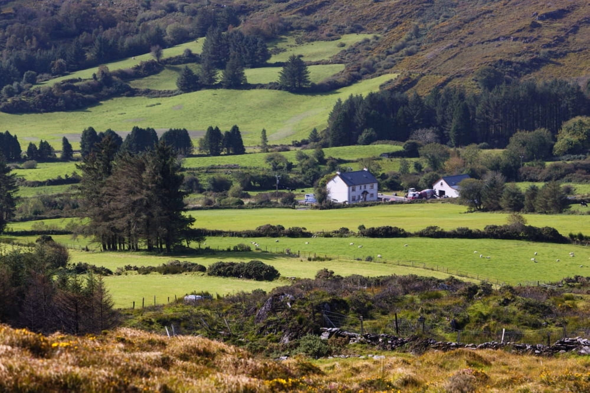 Posterazzi Farmland Near Kilgarvan County Kerry Republic Of Ireland Canvas Art - Ken Welsh Design Pics (38 x 24)