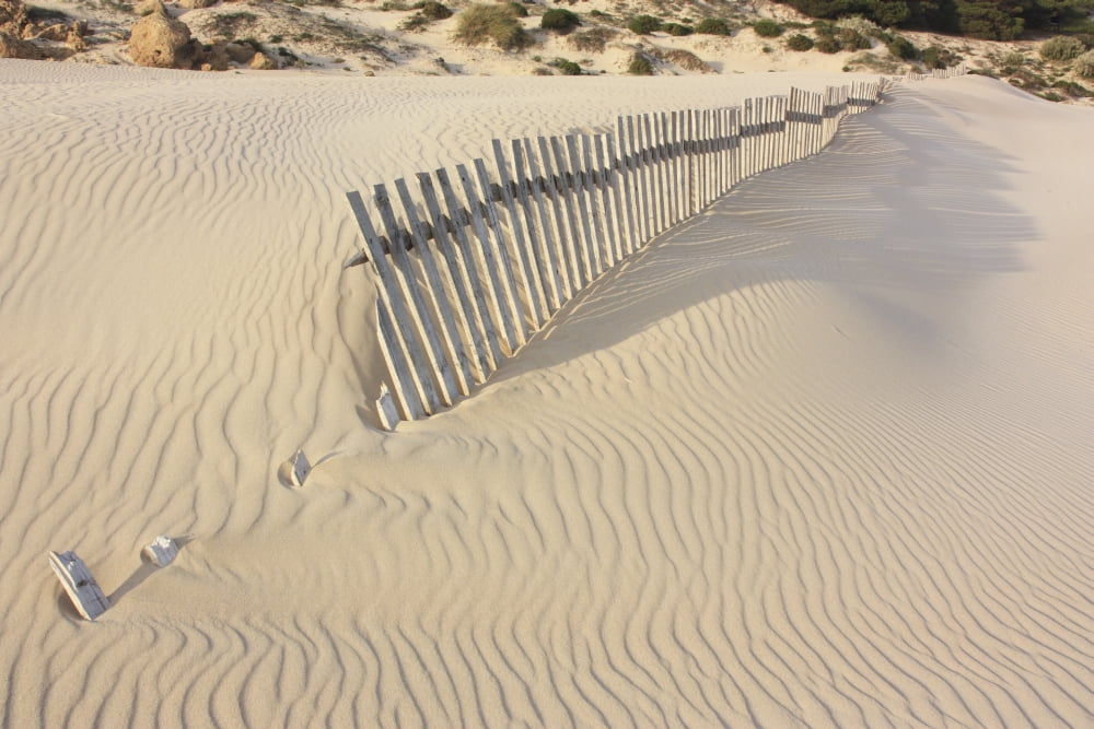 Posterazzi Fence In The Sand Bolongna Andalucia Spain Canvas Art - Peter Zoeller Design Pics (36 x 24)
