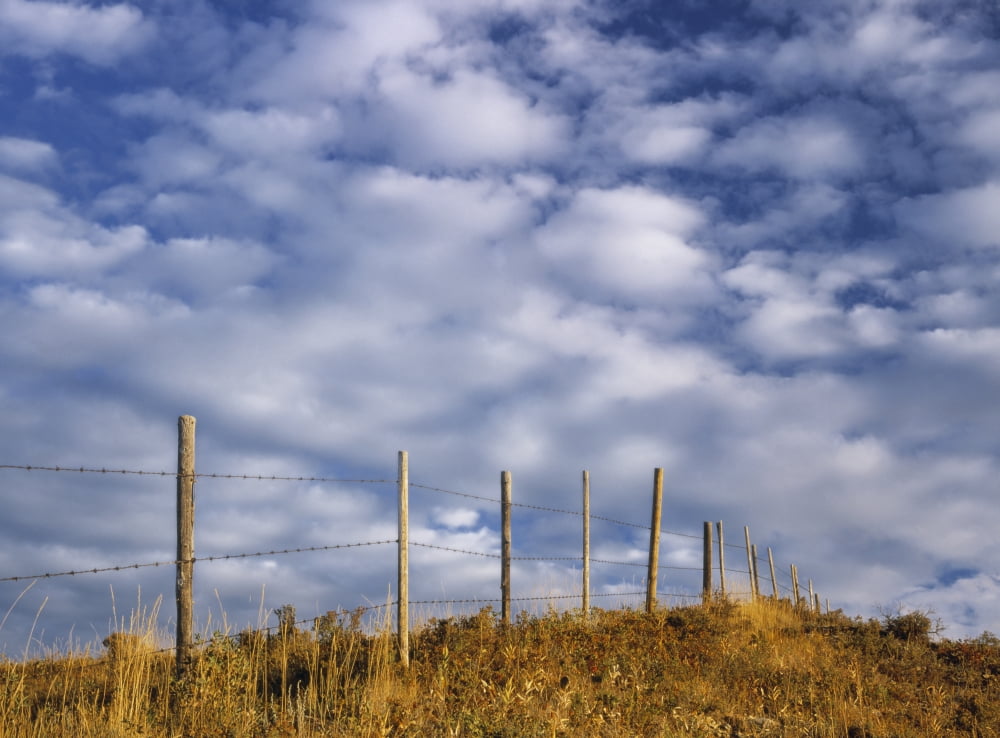 Posterazzi Fenceline In Pasture With Cumulus Clouds In Sky Near Cochrane Alberta Canada Canvas Art - Darwin Wiggett Design Pics (36 x 26)