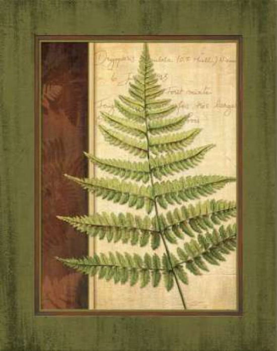 Posterazzi Fern Grotto I Canvas Art - Delphine Corbin (24 x 30)