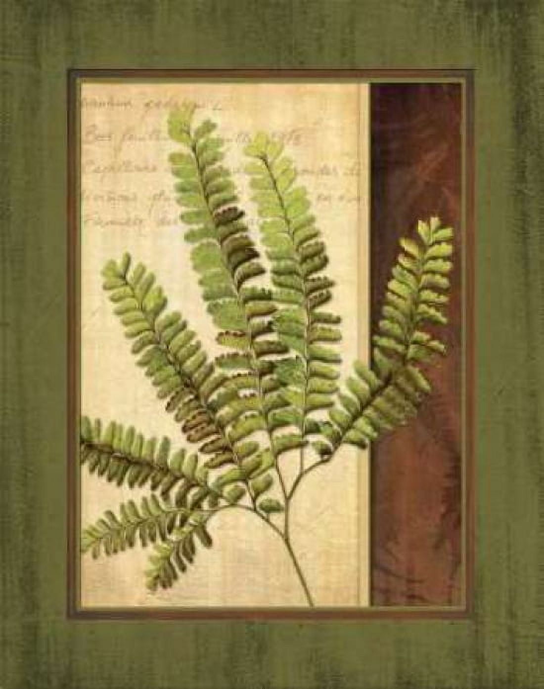 Posterazzi Fern Grotto II Canvas Art - Delphine Corbin (24 x 30)