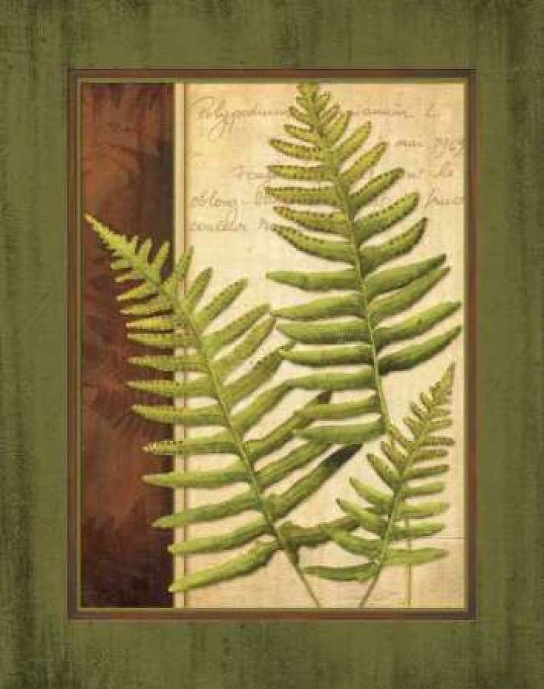Posterazzi Fern Grotto III Canvas Art - Delphine Corbin (24 x 30)