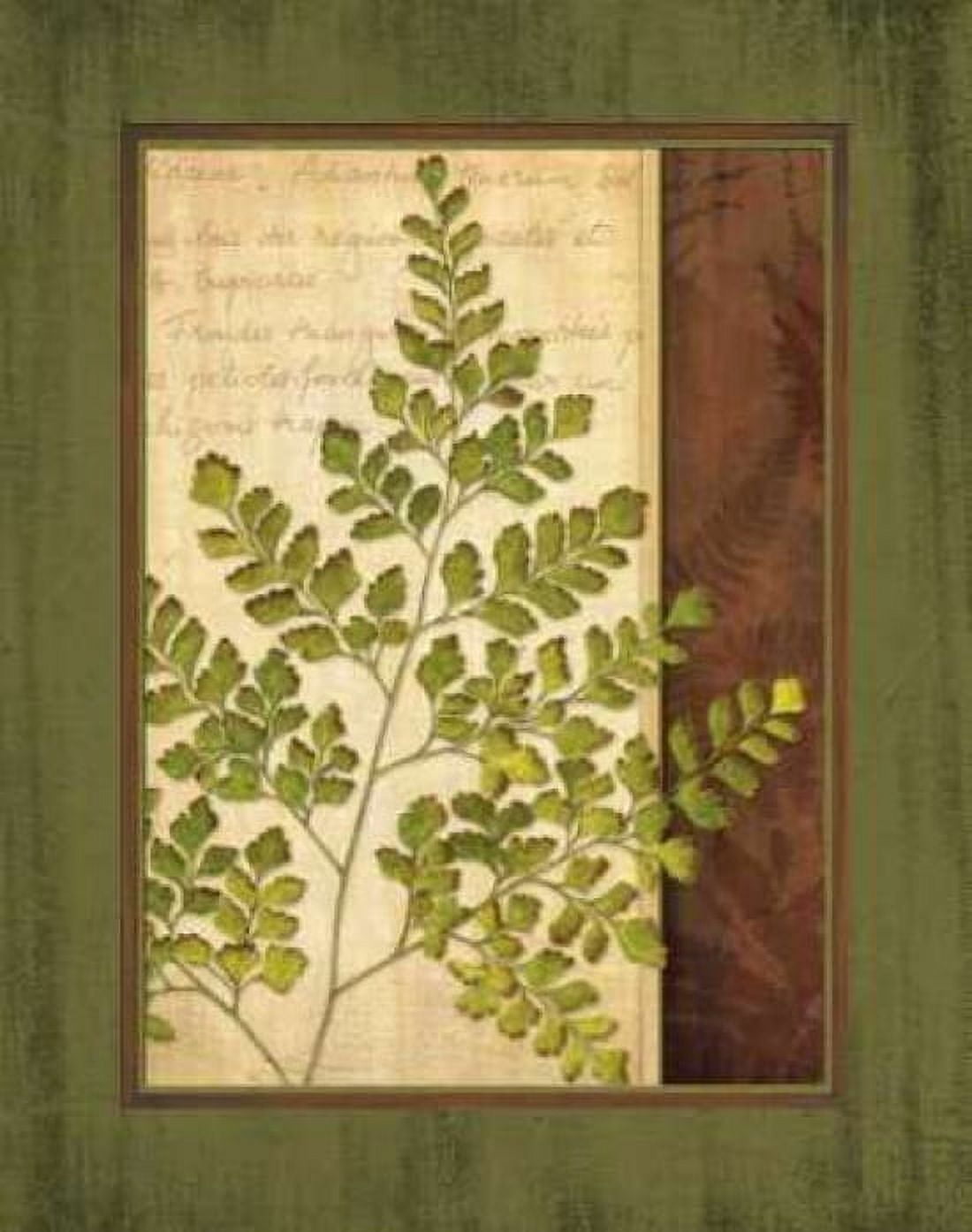 Posterazzi Fern Grotto IV Canvas Art - Delphine Corbin (24 x 30)