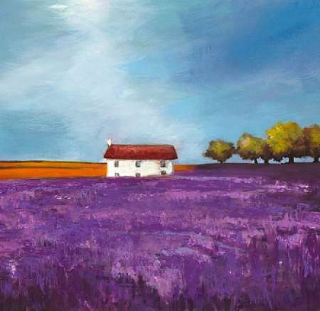 Posterazzi Field of Lavender Canvas Art - Philip Bloom (24 x 24)