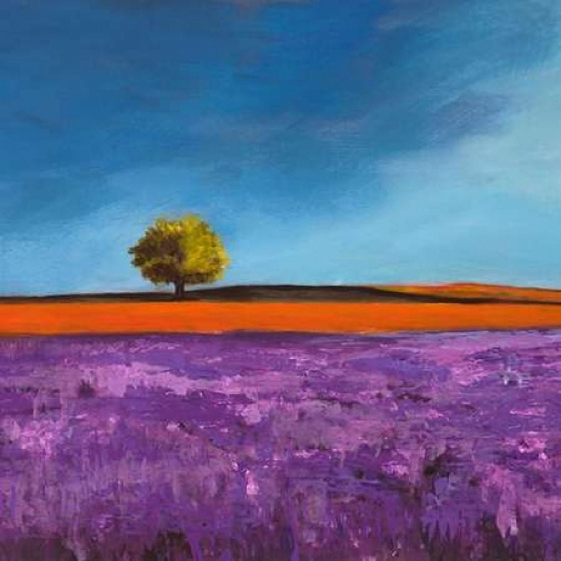 Posterazzi Field of Lavender Canvas Art - Philip Bloom (24 x 24)