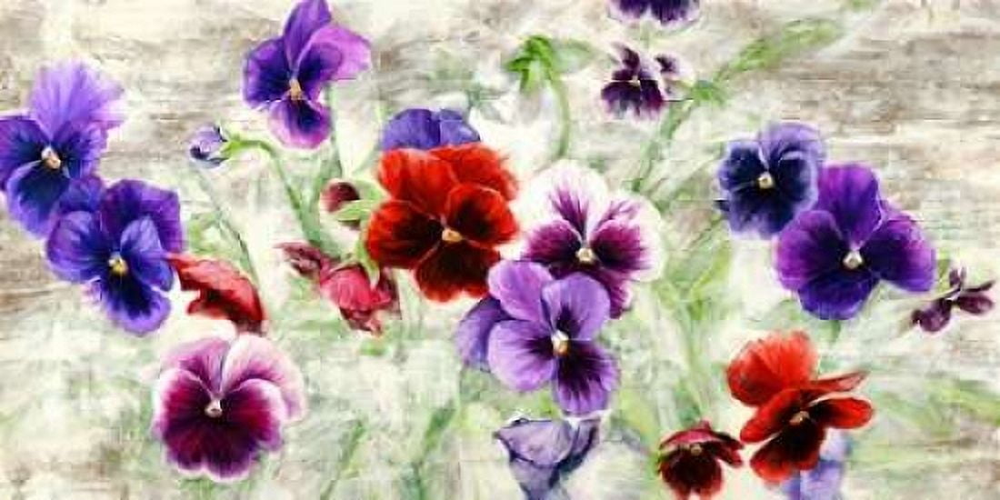 Posterazzi Field of Pansies Canvas Art - Jenny Thomlinson (24 x 48)