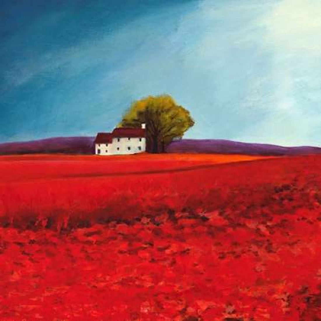 Posterazzi Field of poppies Canvas Art - Philip Bloom (24 x 24)
