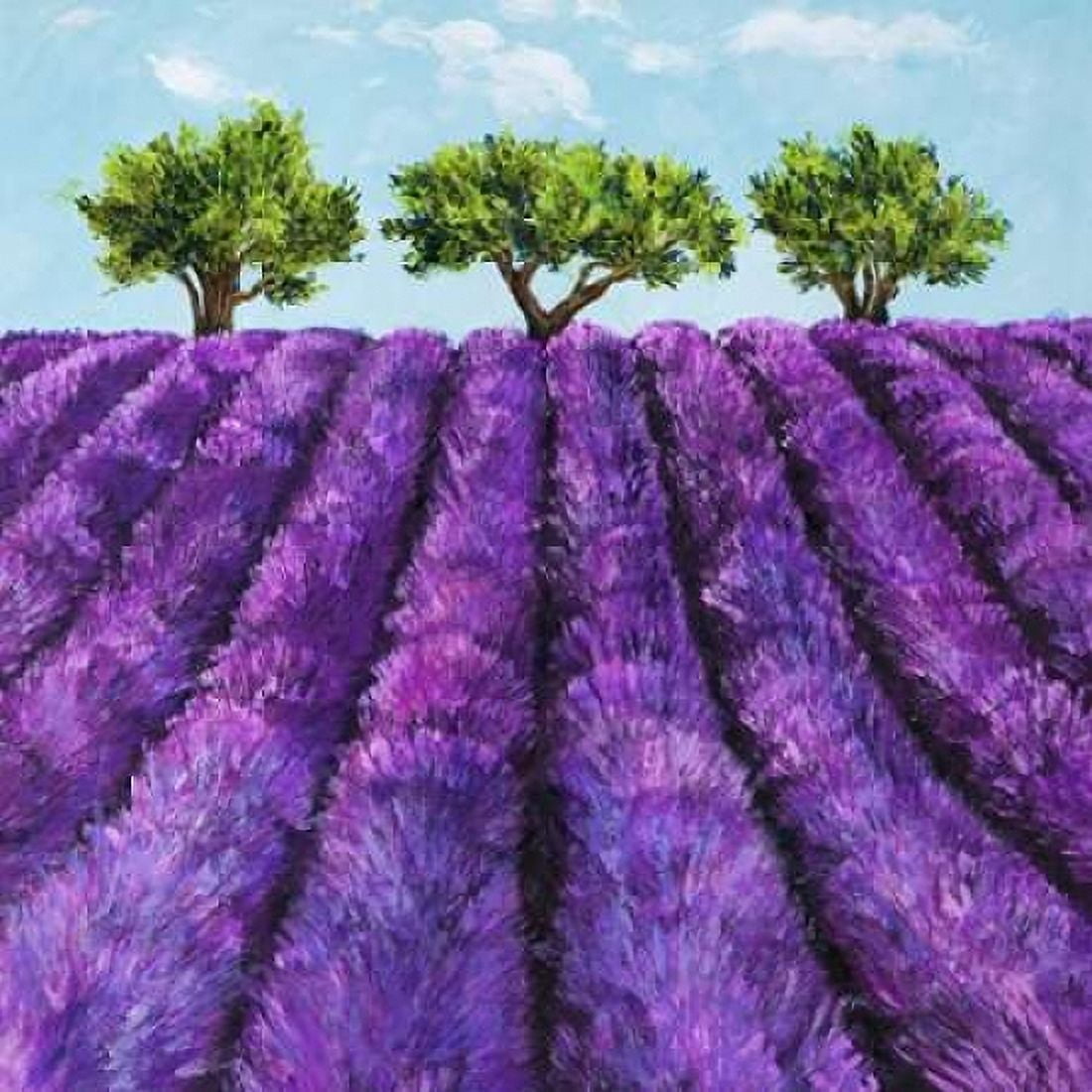 Posterazzi Filari di lavanda Canvas Art - Massimo Germani (24 x 24)