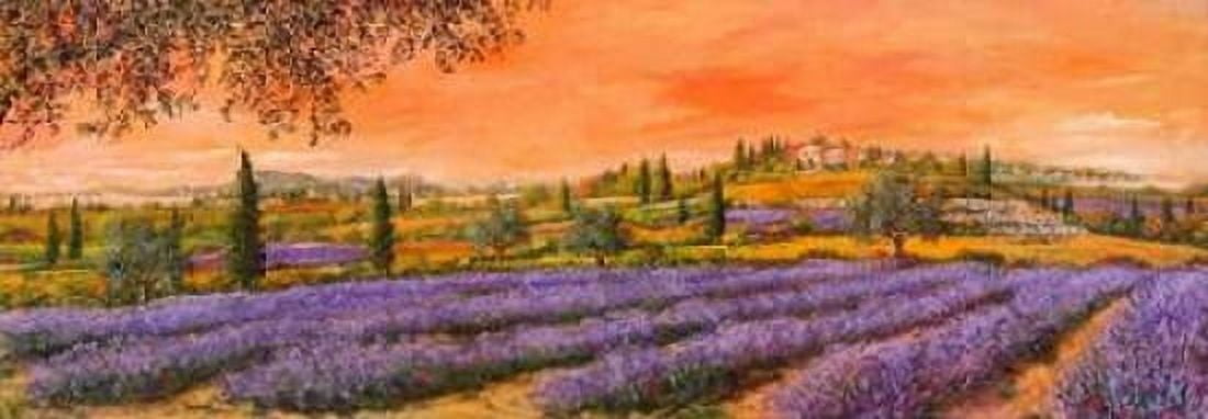 Posterazzi Filari di lavanda Canvas Art - Tebo Marzari (10 x 20)