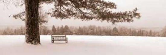 Posterazzi First Snow II Canvas Art - Mike Sleeper (12 x 36)