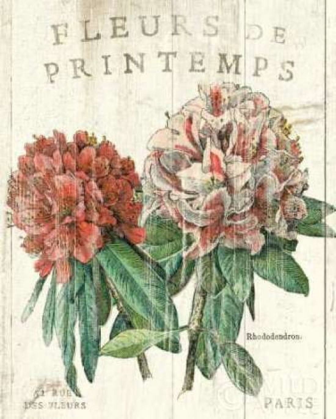 Posterazzi Fleur de Printemps Canvas Art - Sue Schlabach (24 x 30)