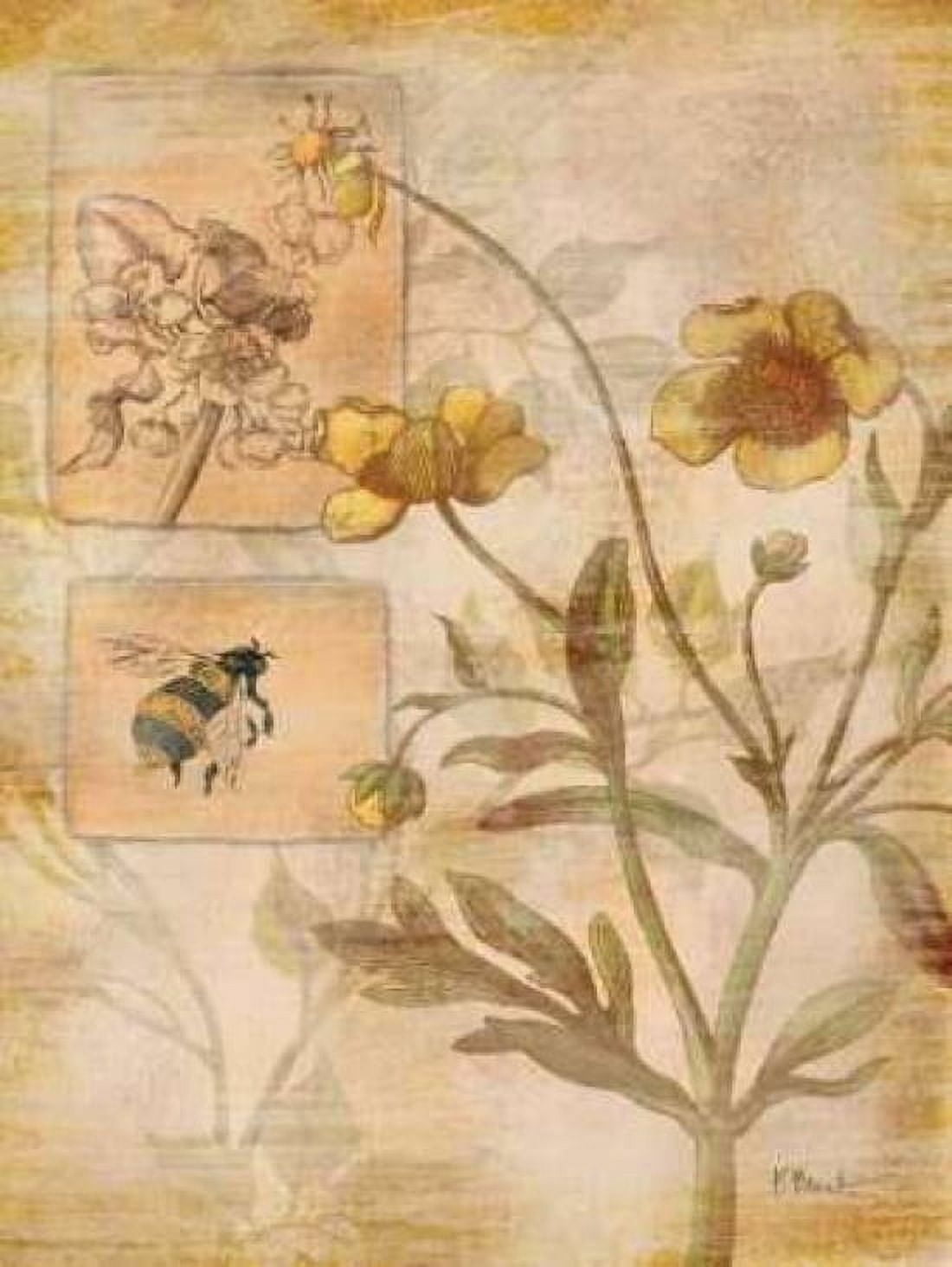 Posterazzi Flora Bumble Bee Canvas Art - Paul Brent (18 x 24)