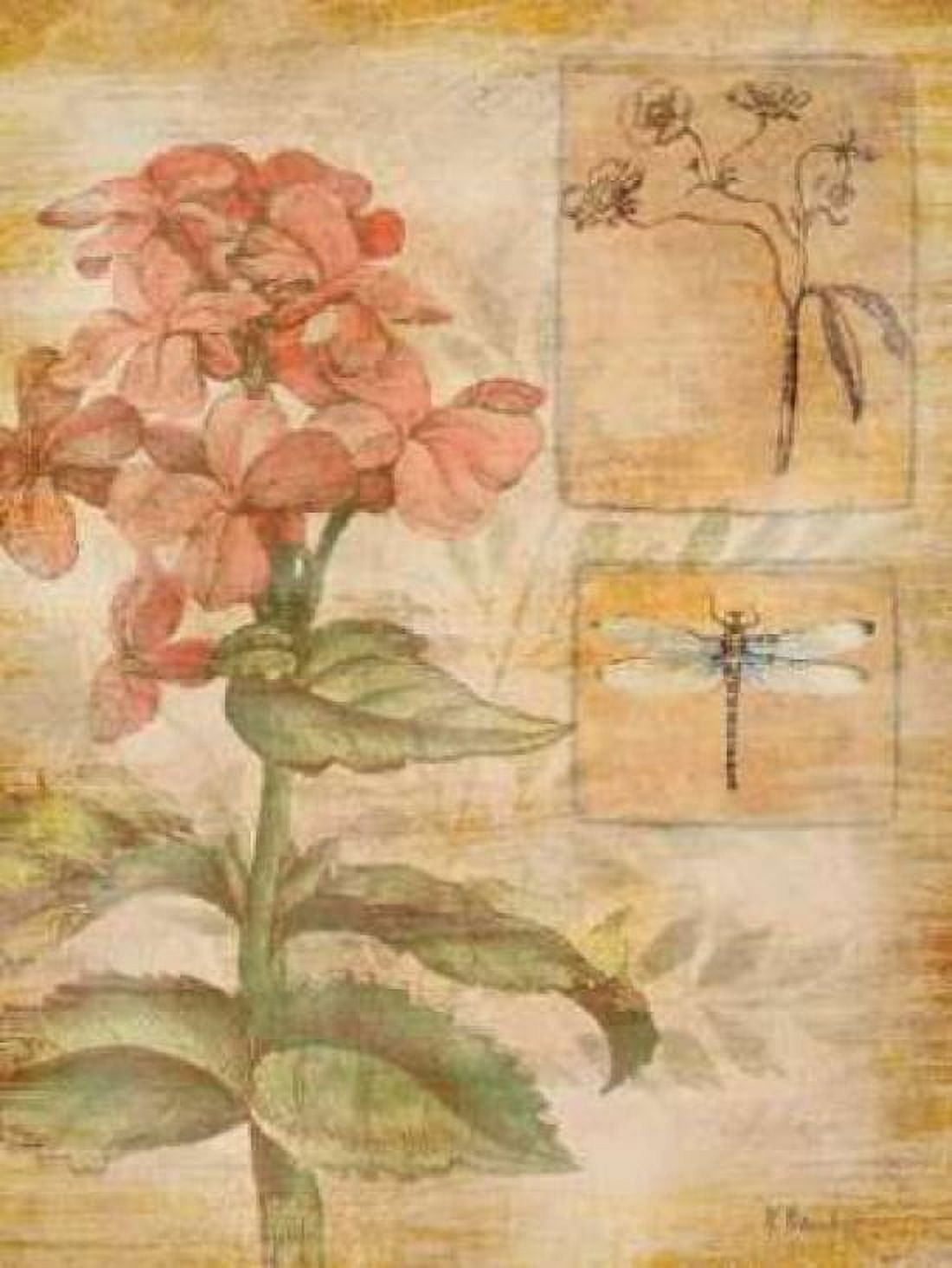 Posterazzi Flora Dragonfly Canvas Art - Paul Brent (18 x 24)